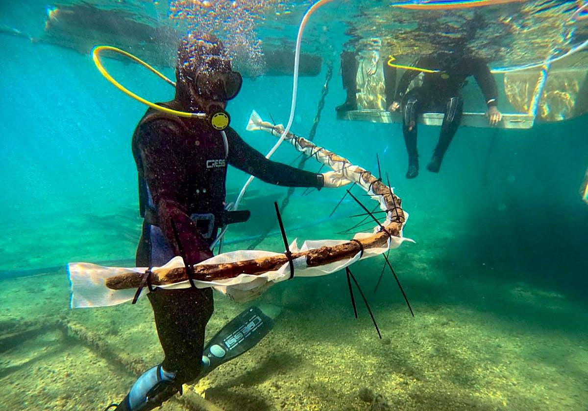 Брюнетка қыздардың беттерінің фотосуреттері